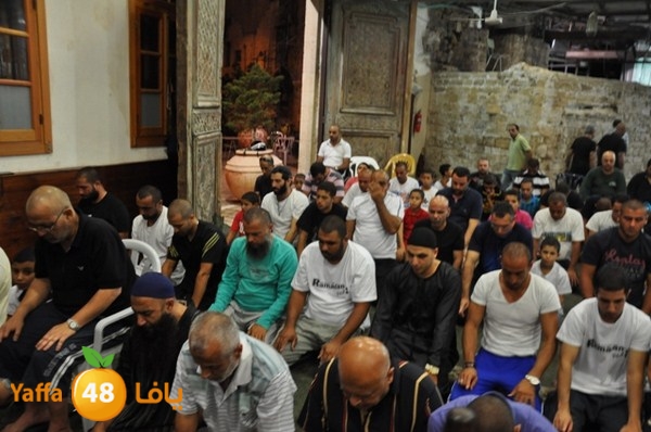 msajed amer qder 804 (48).JPG